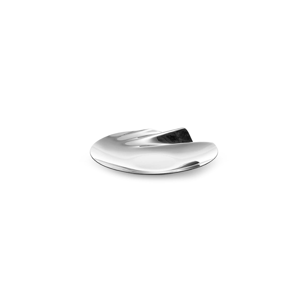 Stainless Steel Tray - Contemporary Organic Shape Platter