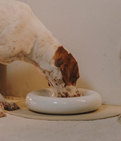 White ceramic bowl