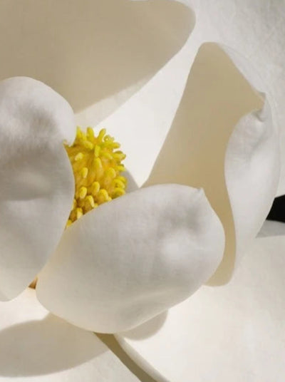White Magnolia Chandelier | Elegant Ceramic Jade Fixture